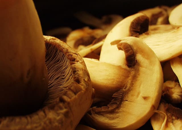 Μανιταρόπιτα