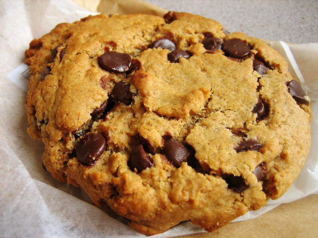 Τραγανά μπισκότα με σταγόνες σοκολάτας